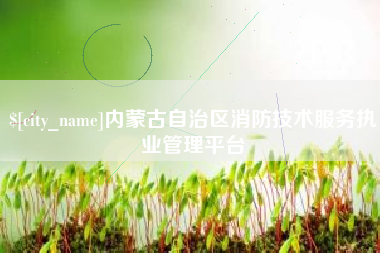 文昌内蒙古自治区消防技术服务执业管理平台
