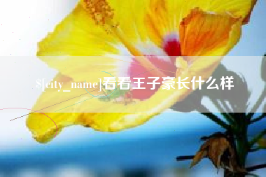 文昌看看王子豪长什么样