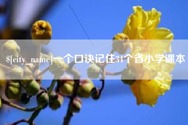 文昌一个口诀记住34个省小学课本