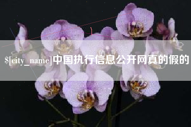 文昌中国执行信息公开网真的假的
