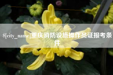 文昌重庆消防设施操作员证报考条件