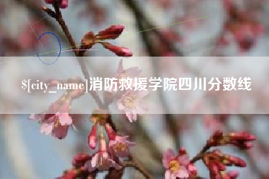 文昌消防救援学院四川分数线
