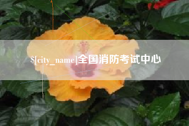 文昌全国消防考试中心