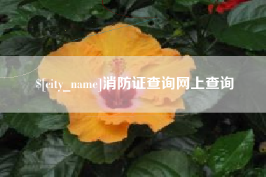 文昌消防证查询网上查询