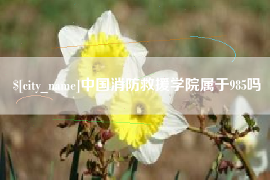 文昌中国消防救援学院属于985吗