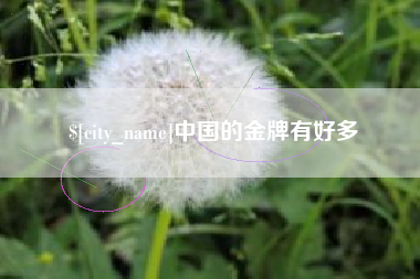 文昌中国的金牌有好多