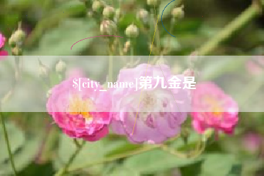 文昌第九金是