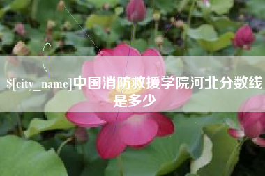 文昌中国消防救援学院河北分数线是多少