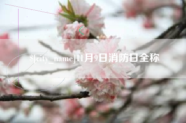 文昌11月9日消防日全称