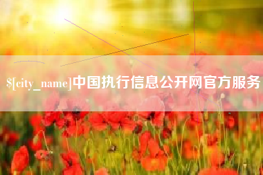 文昌中国执行信息公开网官方服务