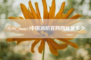 文昌中国消防官网网址是多少