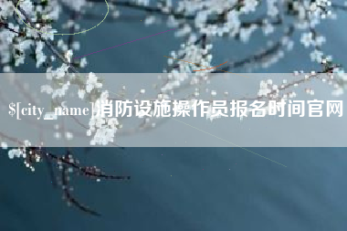 文昌消防设施操作员报名时间官网