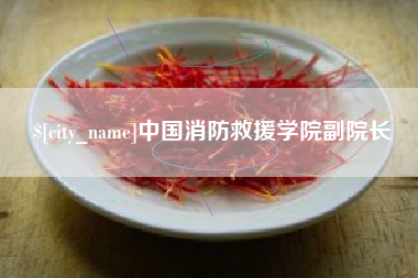 文昌中国消防救援学院副院长