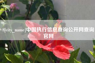 文昌中国执行信息查询公开网查询官网