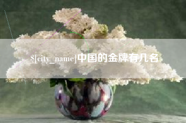 文昌中国的金牌有几名