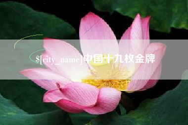 文昌中国十九枚金牌