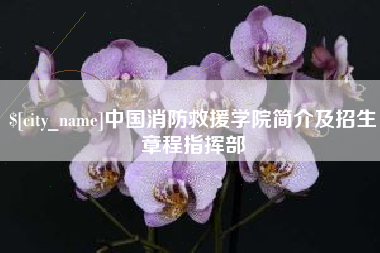 文昌中国消防救援学院简介及招生章程指挥部