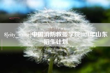 文昌中国消防救援学院2021年山东招生计划