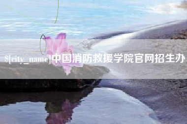 文昌中国消防救援学院官网招生办