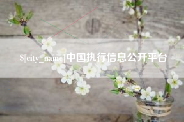 文昌中国执行信息公开平台