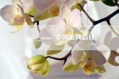 文昌中国金牌估计
