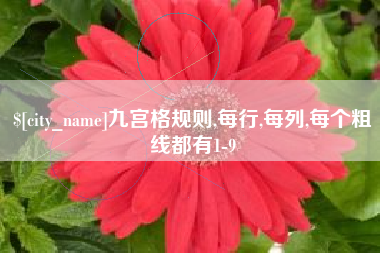 文昌九宫格规则,每行,每列,每个粗线都有1-9