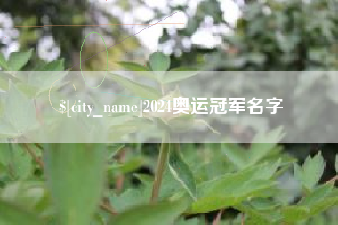 文昌2024奥运冠军名字