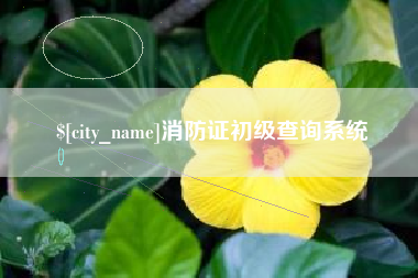 文昌消防证初级查询系统