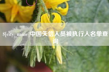 文昌中国失信人员被执行人名单查询