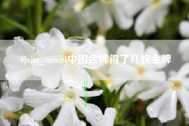 文昌中国金牌得了几枚金牌