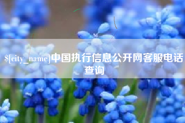 文昌中国执行信息公开网客服电话查询