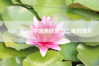 文昌中国消防官方二维码图片
