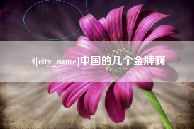 文昌中国的几个金牌啊
