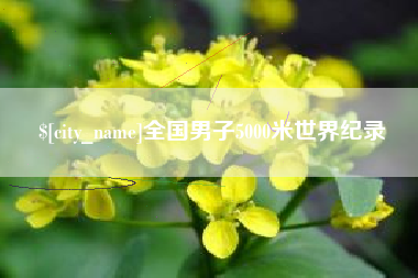 文昌全国男子5000米世界纪录