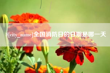 文昌全国消防日的日期是哪一天