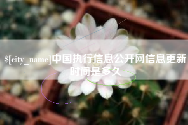 文昌中国执行信息公开网信息更新时间是多久