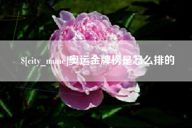 文昌奥运金牌榜是怎么排的