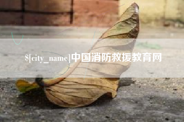 文昌中国消防救援教育网