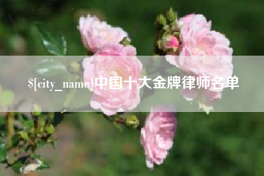 文昌中国十大金牌律师名单