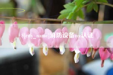 文昌消防设备ccc认证