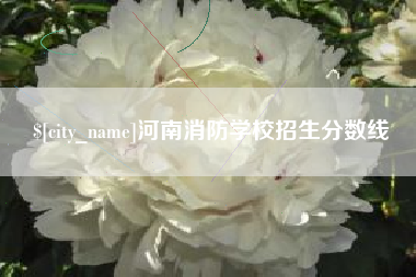 文昌河南消防学校招生分数线