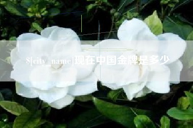 文昌现在中国金牌是多少