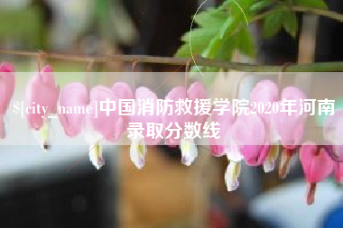 文昌中国消防救援学院2020年河南录取分数线