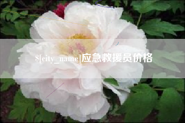 文昌应急救援员价格