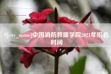 文昌中国消防救援学院2021年报名时间