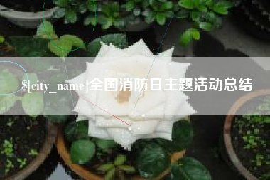 文昌全国消防日主题活动总结