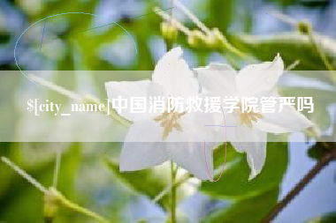 文昌中国消防救援学院管严吗