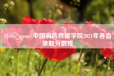 文昌中国消防救援学院2021年各省录取分数线