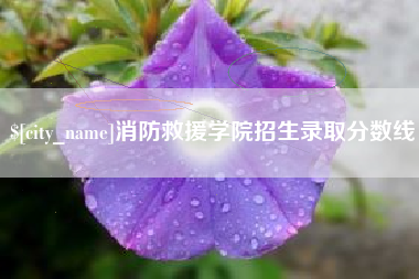 文昌消防救援学院招生录取分数线