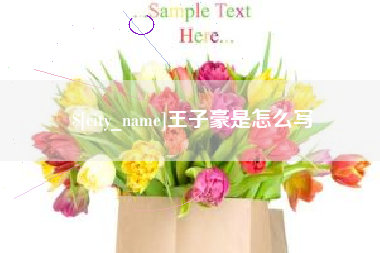 文昌王子豪是怎么写
